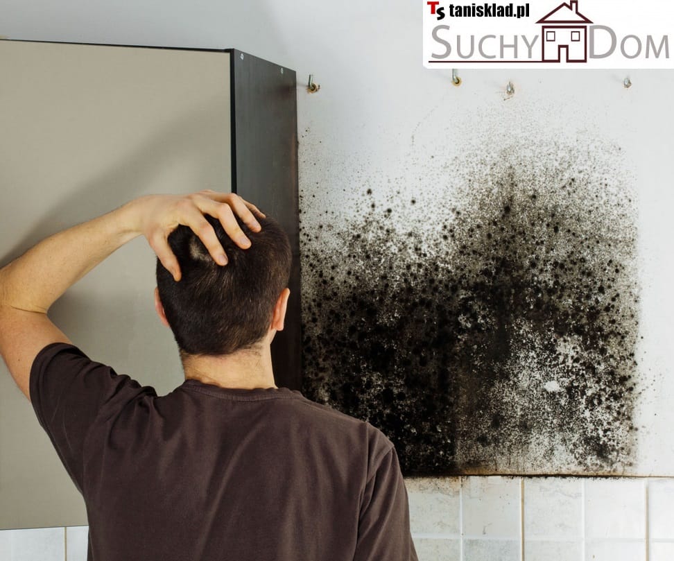 Jak osuszyć stare mury w domu przy użyciu preparatu "Suchy Dom"?